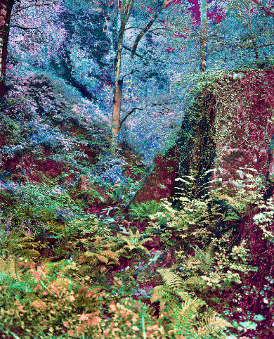 explore-img